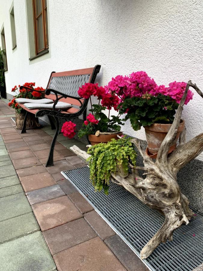 Appartement Vierthaler Werfenweng Exteriér fotografie
